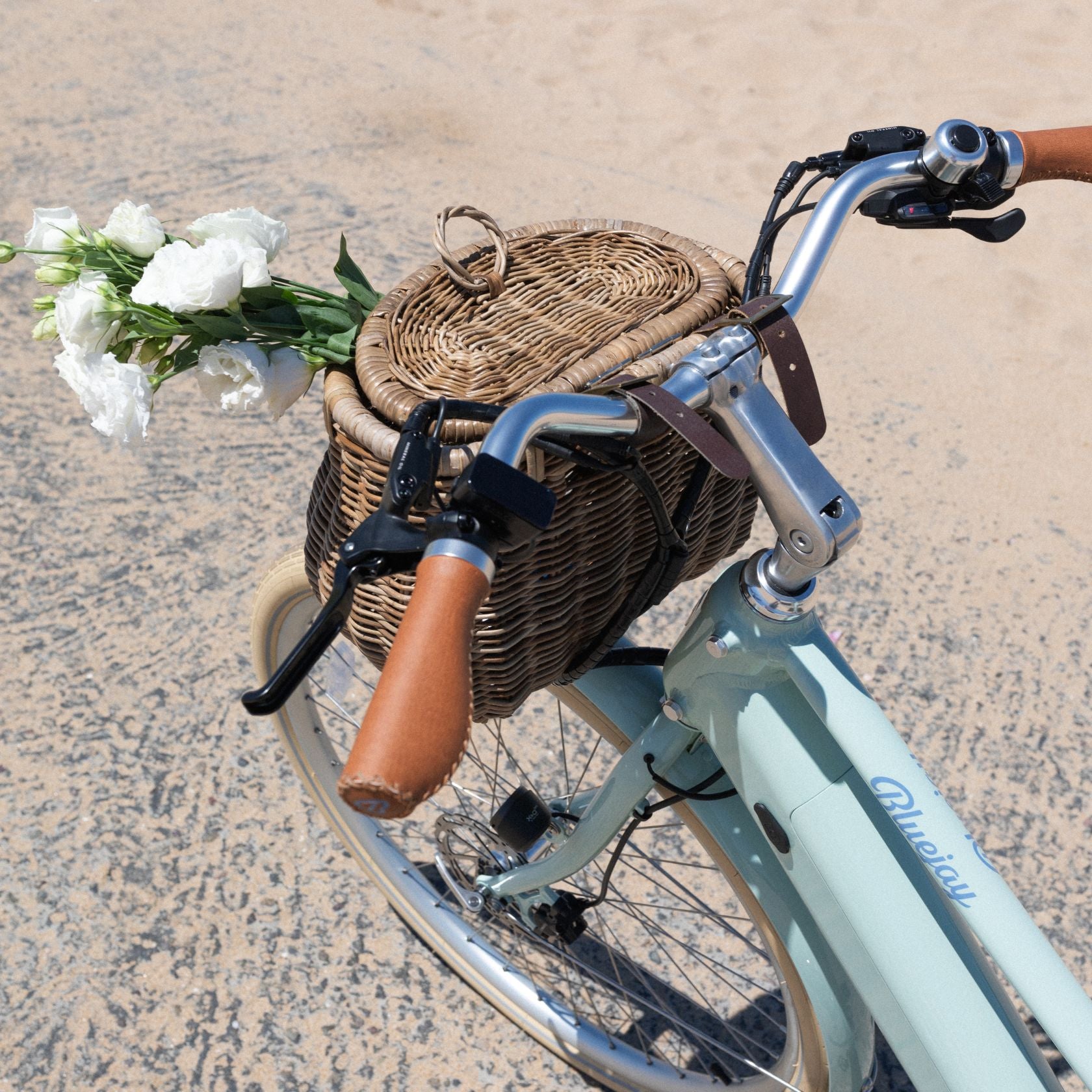 Madaket Creel Basket – Bluejay Bicycles