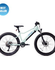 Bluejay WILD: Adult - Mint Green Electric Bike