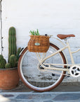 Cisco Classic Basket