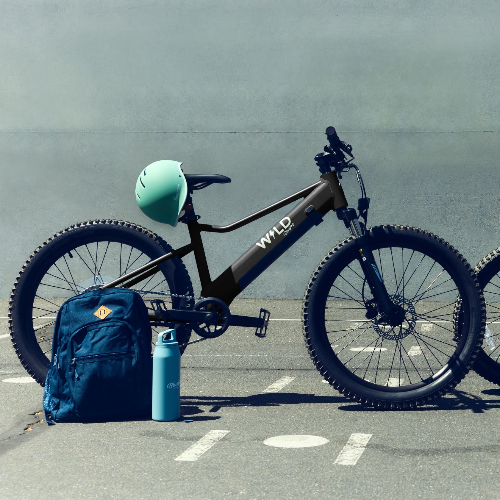 Bluejay WILD Kids Classic Black Electric Bike – Bluejay Bicycles