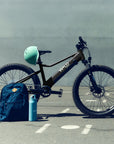 Bluejay WILD e-bike in Classic Black