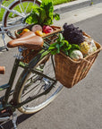 Vegetables in rear Pannier baskets of a Bluejay Premiere Edition e-bike in Olive Green