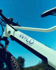 Frame of Bluejay WILD e-bike in Mint Green