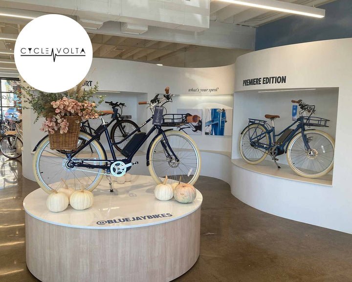Bluejay flagship store