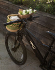 Bluejay WILD - Classic Black Electric Bike