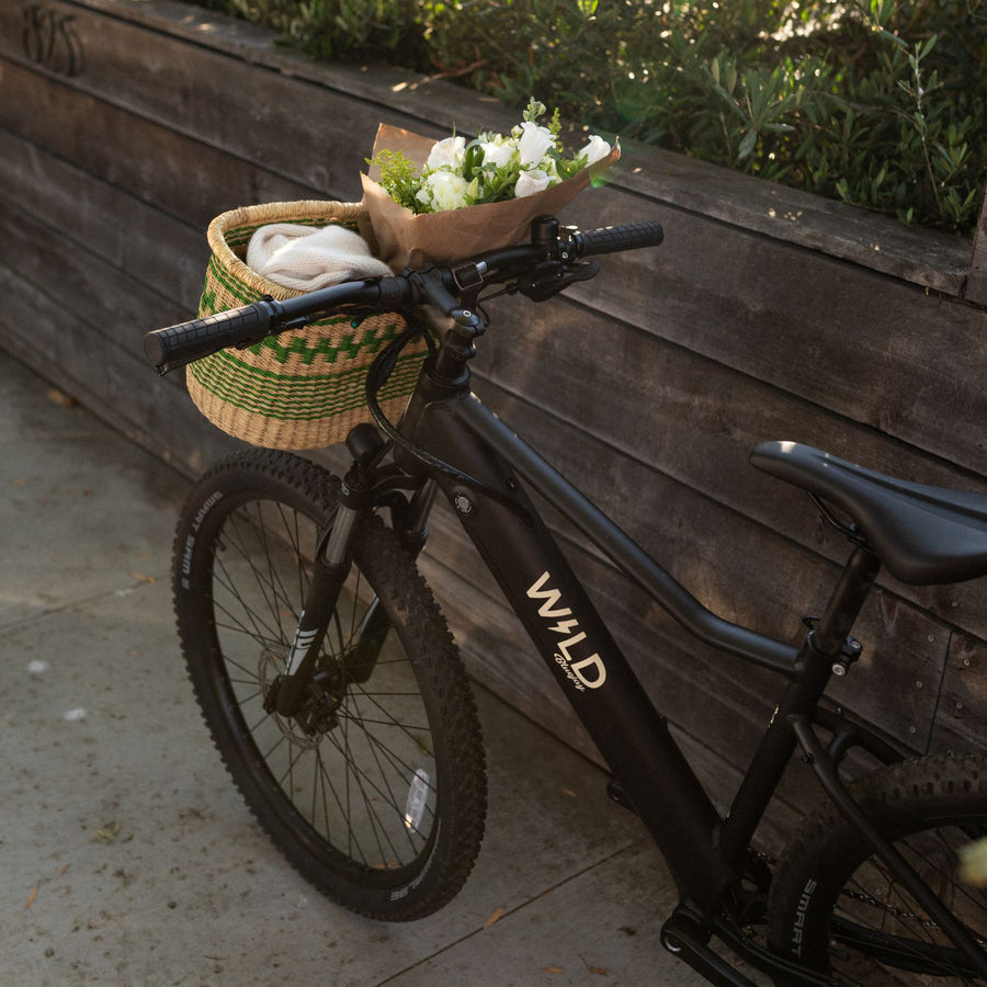 Bluejay WILD - Classic Black Electric Bike