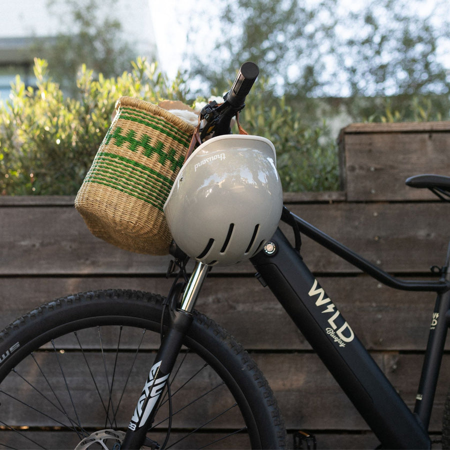 Bluejay WILD - Classic Black Electric Bike