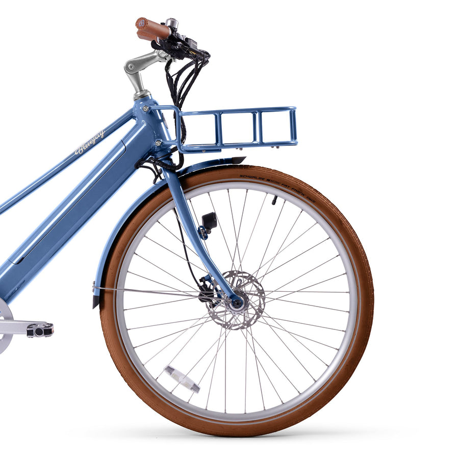 Schwalbe Fat Frank Balloon Tires – Bluejay Bicycles