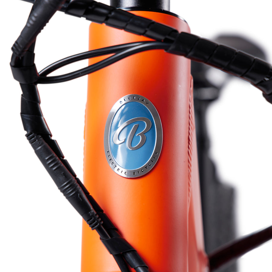 Logo Close-up forBluejay WILD Kids' electric bike e-bike 