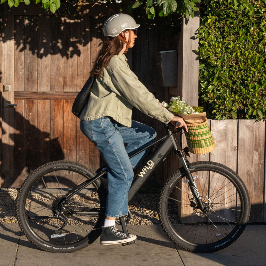 Bluejay WILD - Classic Black Electric Bike