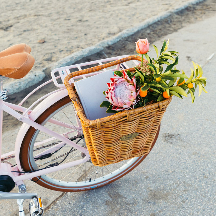 Flours in Pannier Nantucket basket on Bluejay e-bike in Blush Pink