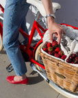New Bluejay Premiere Edition - Cherry Red Electric Bike