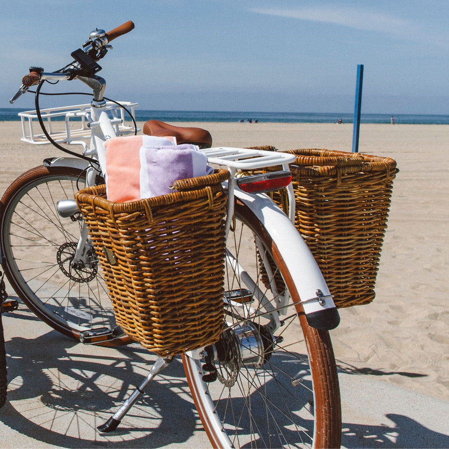 NEW! Bluejay Premiere Lite - Modern White Electric Bike