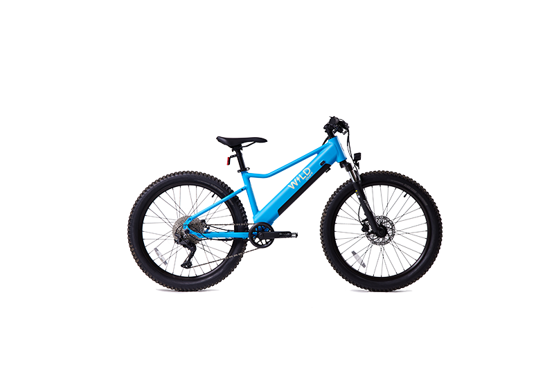 Purple and blue bike shop