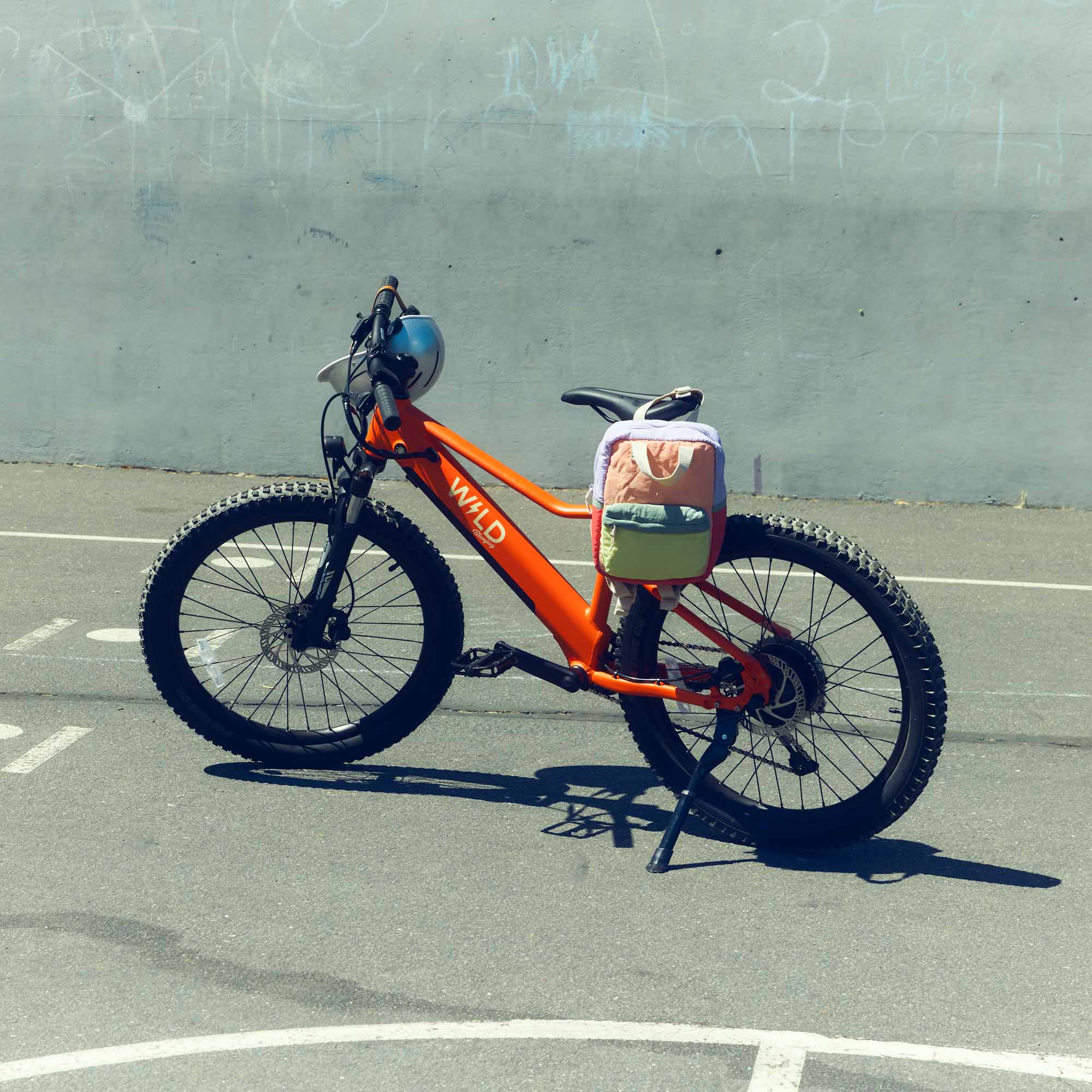 Bluejay WILD - Kids Electric Orange Electric Bike – Bluejay Bicycles