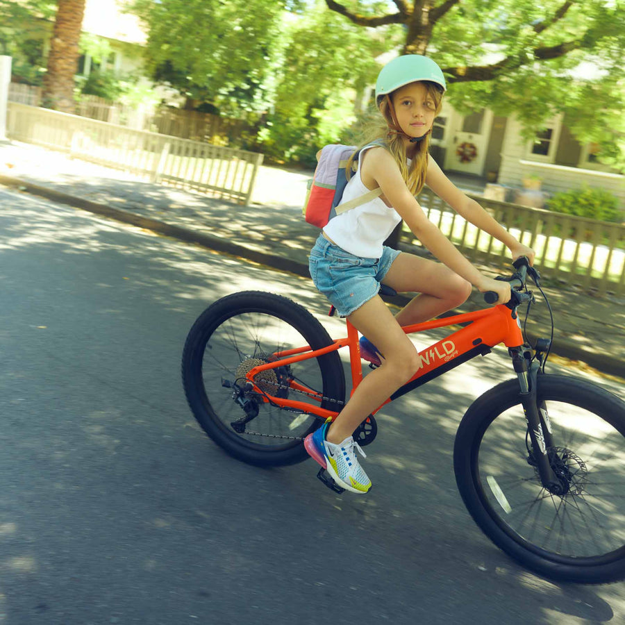 Bluejay WILD Kids' orange e-bike electric bike