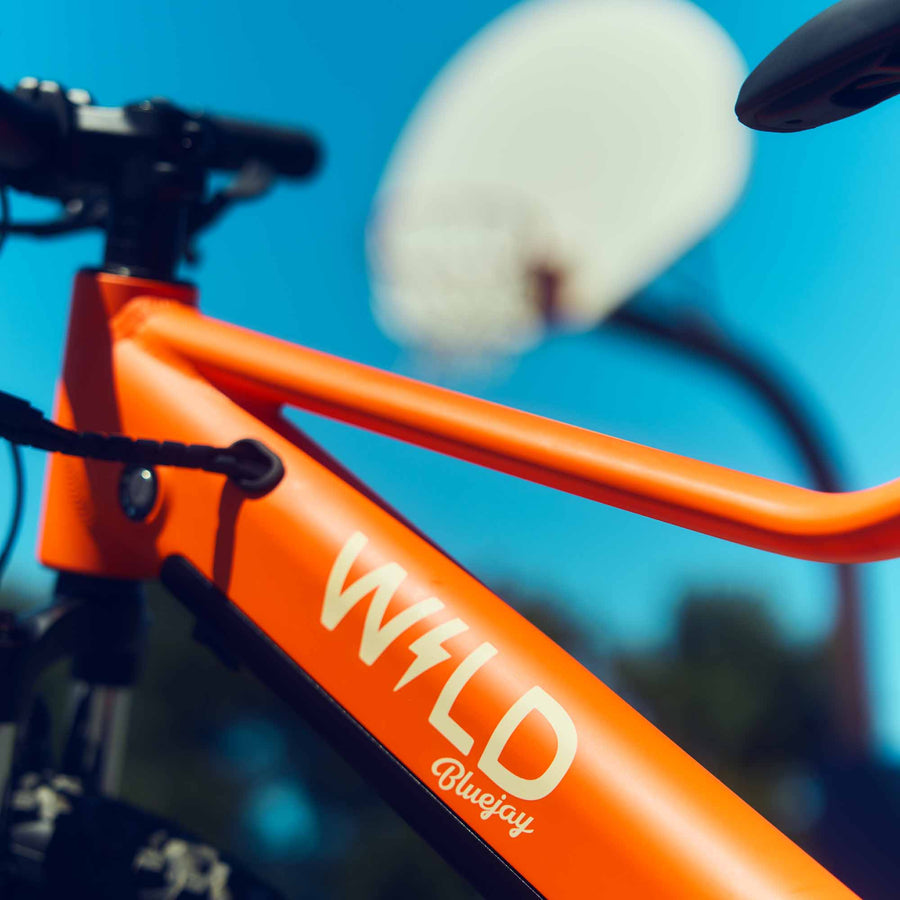 Bluejay WILD kids' orange e-bike close-up
