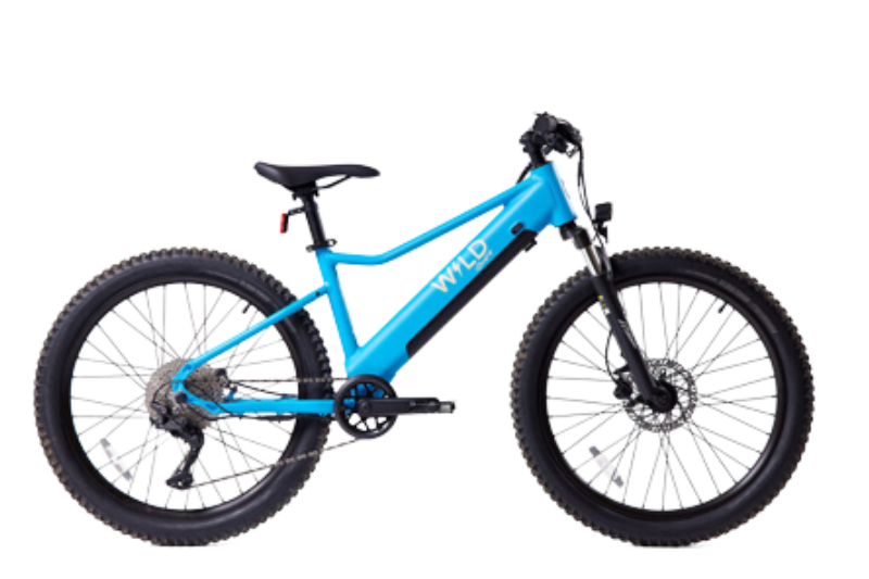 Blue electric bike sales