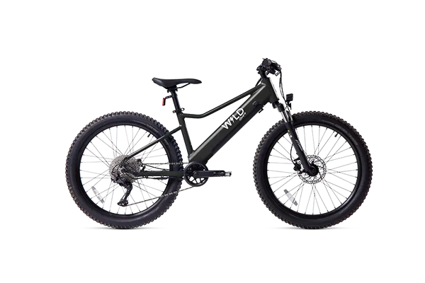 Bluejay WILD e-bike