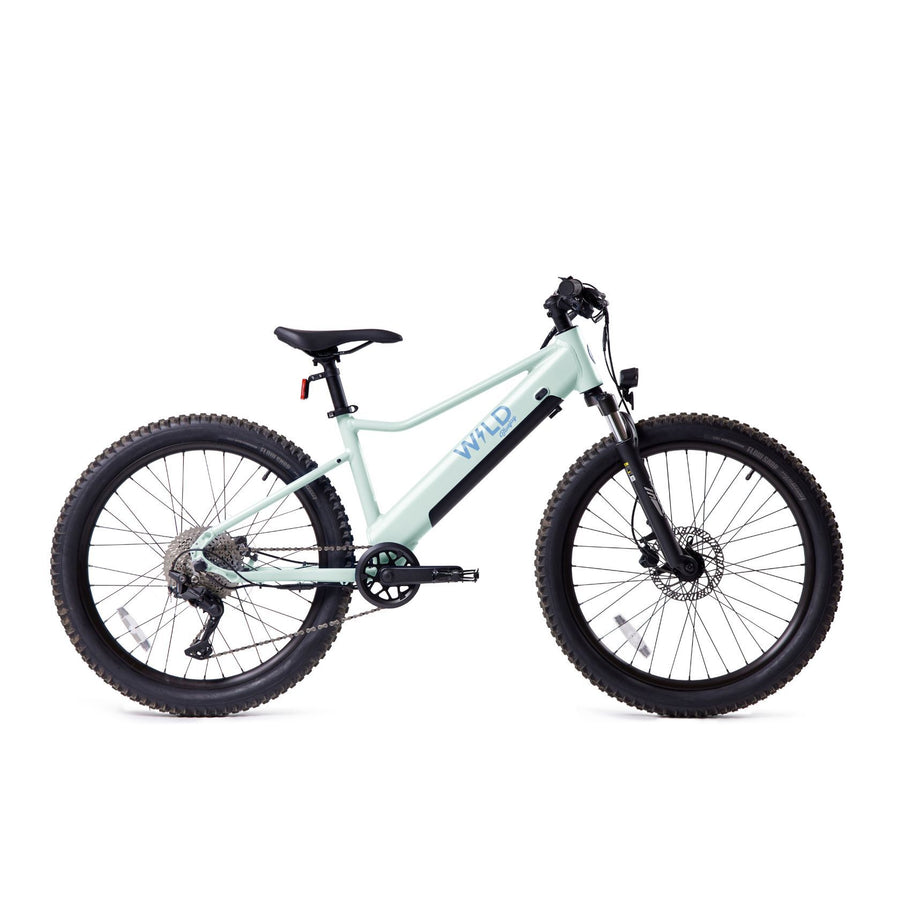 NEW! Bluejay WILD - Mint Green Kids Electric Bike