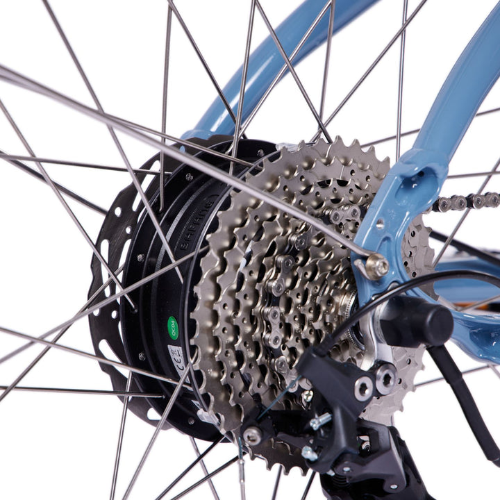 Gear Hub of Bluejay e-bike 