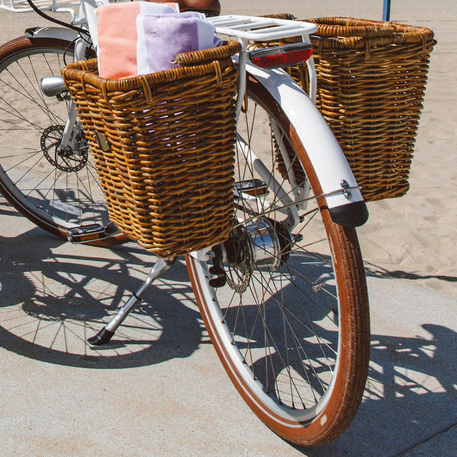 Rear view of Bluejay Premiere Lite e-bike in Modern White with Pannier Nantucket baskets