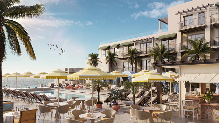 View of hotel pool with palm trees and seagulls