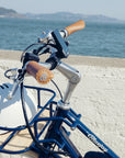 Grips of Bluejay e-bike near ocean