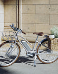 Bluejay Premiere Edition e-bike 