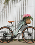 Bluejay WILD: Adult - Mint Green Electric Bike