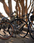 Bluejay Sport Edition e-bikes 