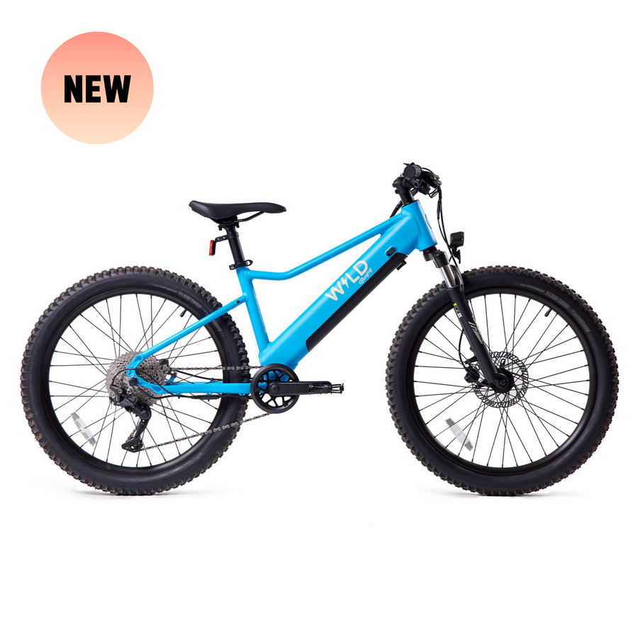 Blue bike best sale electric