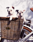 Pannier Nantucket Bike Basket