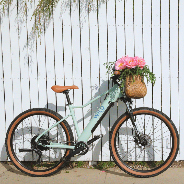 bluejay electric bicycles Bikes Bluejay Step-Thru A kids e Bluejay Premiere Edition Bluejay -
