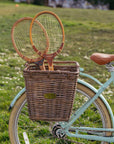 NEW Bluejay Premiere Lite - Mint Green Electric Bike