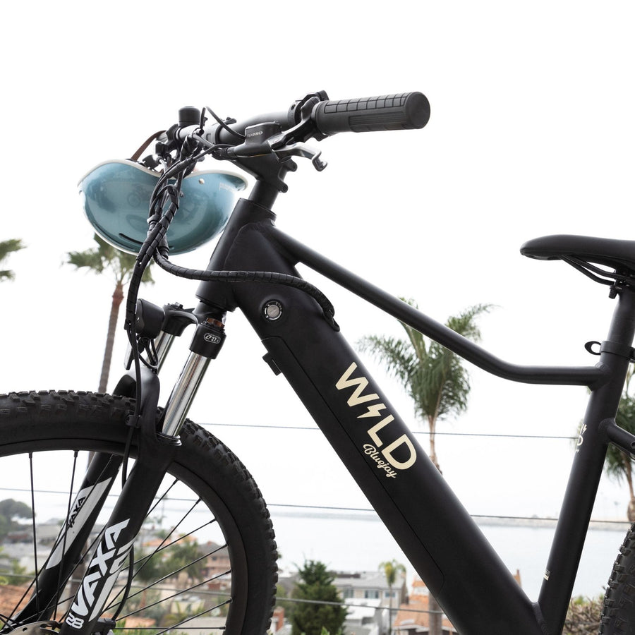 Bluejay WILD - Classic Black Electric Bike