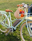 Bluejay Premiere Edition electric bike Mint Green e-bike with basket